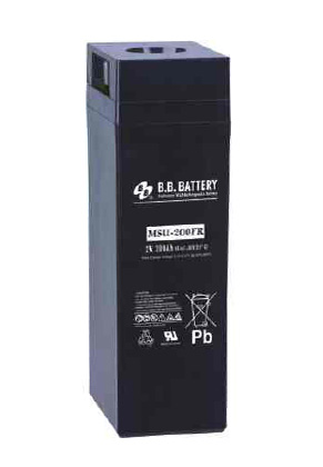 Аккумуляторная батарея BB Battery MSU-200